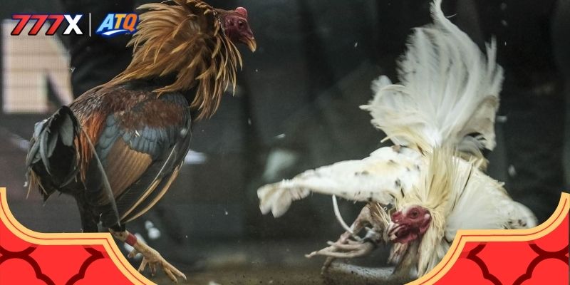 Bật mí quy định chơi game cần thiết