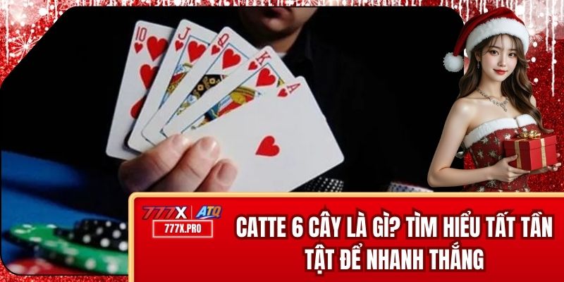 Catte 6 Cây Là Gì? Tìm Hiểu Tất Tần Tật Để Nhanh Thắng