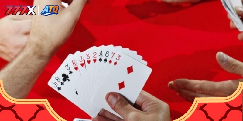 Tìm hiểu chi tiết Catte 6 cây là gì