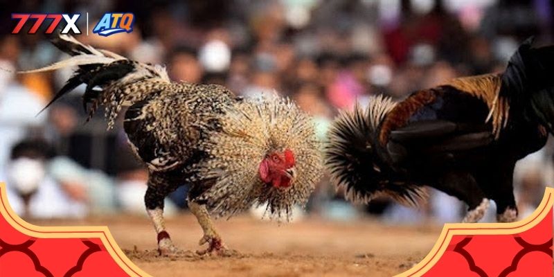 Xuất xứ của trò chơi